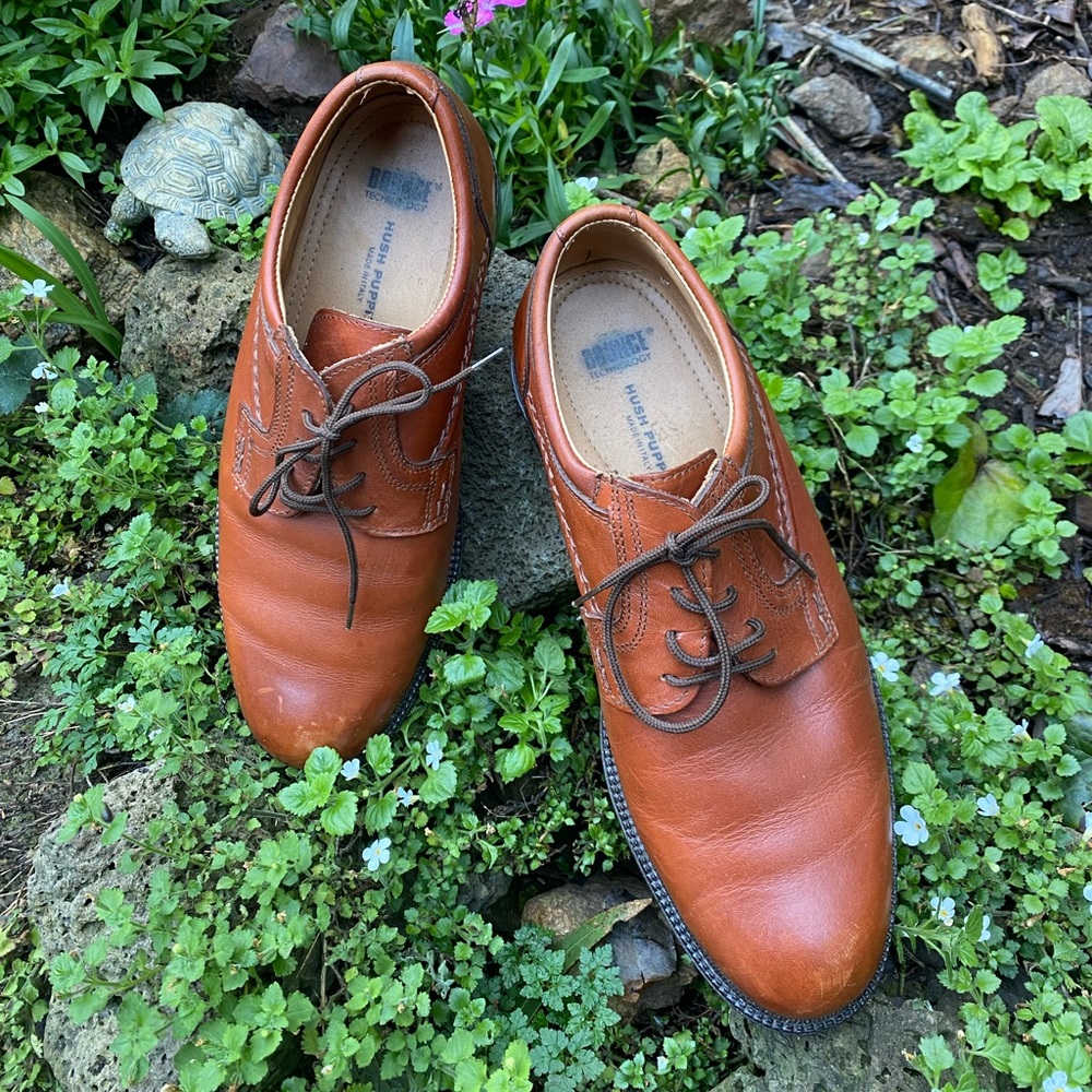 Hush puppies oxfords. Bounce technology brown. Men’s size 10.5 M.
